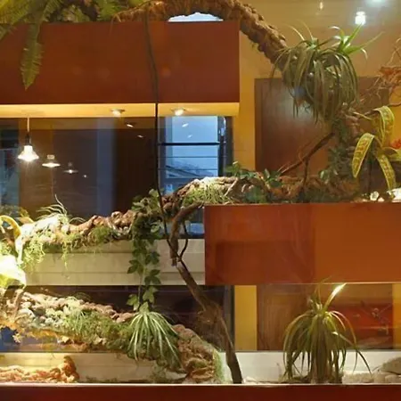 Kristina & Bed & Breakfast