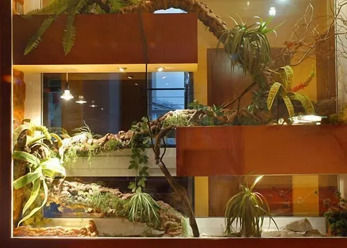 Kristina & Bed & Breakfast